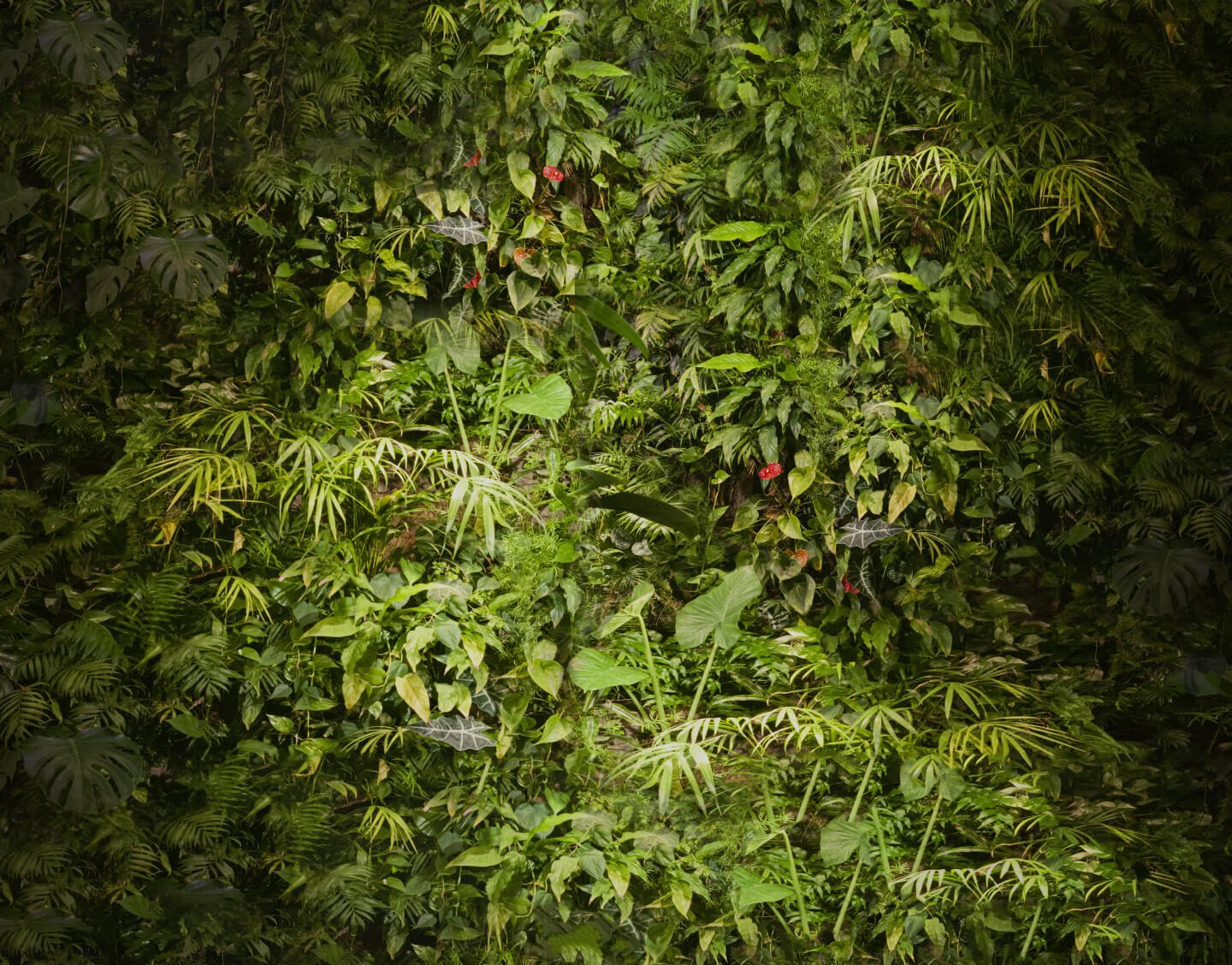 Jardines Verticales